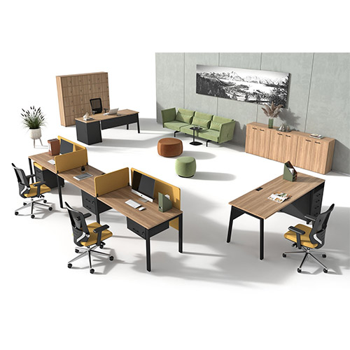 Кабинет для персонала ЭВОЛЮШН